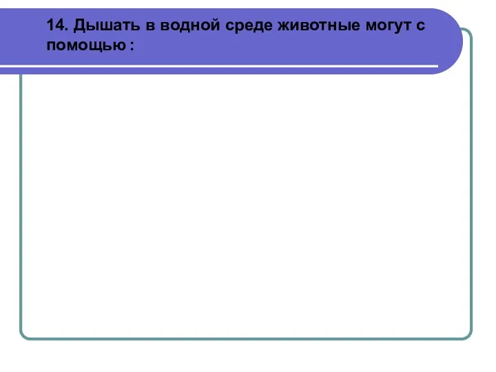 14. Дышать в водной среде животные могут с помощью :