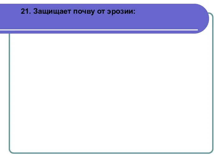 21. Защищает почву от эрозии: