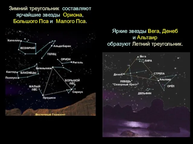 Зимний треугольник составляют ярчайшие звезды Ориона, Большого Пса и Малого