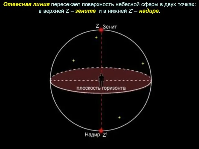 Отвесная линия пересекает поверхность небесной сферы в двух точках: в