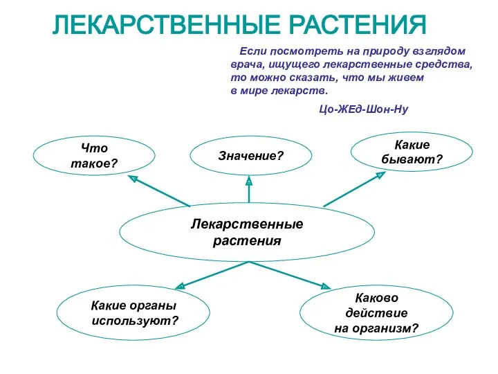 ЛЕКАРСТВЕННЫЕ РАСТЕНИЯ Если посмотреть на природу взглядом врача, ищущего лекарственные