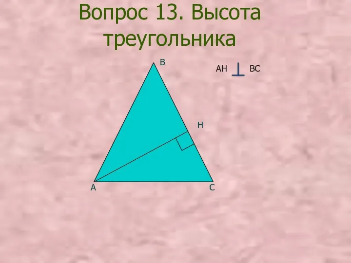 Вопрос 13. Высота треугольника А С В Н АН ВС