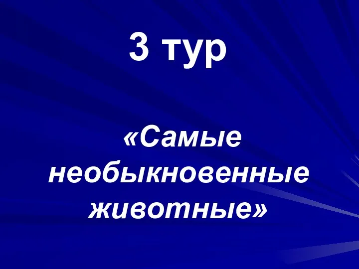 3 тур «Самые необыкновенные животные»