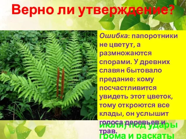 Верно ли утверждение? Цветёт папоротник огненным цветком, распускается в глухую