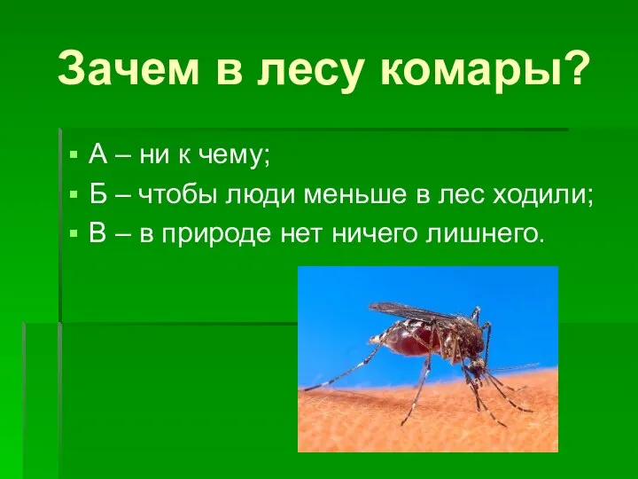 Зачем в лесу комары? А – ни к чему; Б – чтобы люди