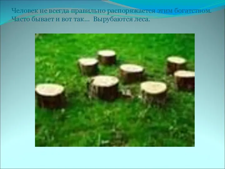 Человек не всегда правильно распоряжается этим богатством. Часто бывает и вот так… Вырубаются леса.