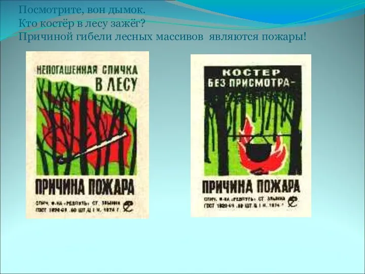 Посмотрите, вон дымок. Кто костёр в лесу зажёг? Причиной гибели лесных массивов являются пожары!