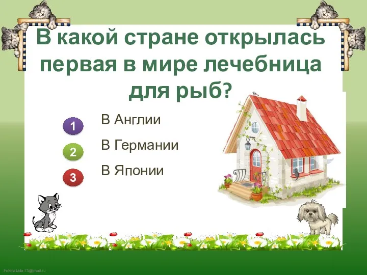 В какой стране открылась первая в мире лечебница для рыб?