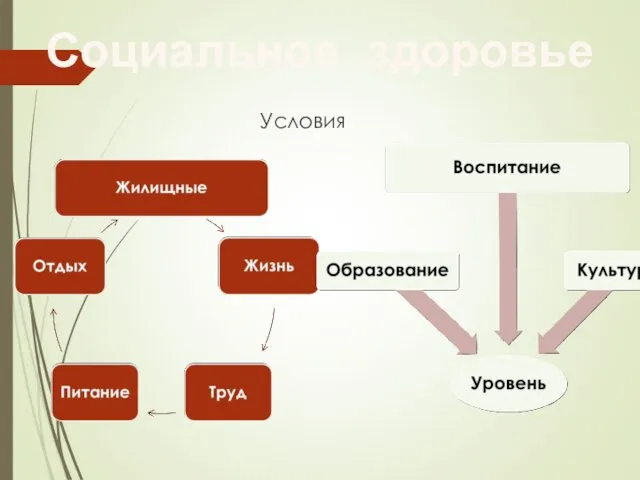 Социальное здоровье Условия