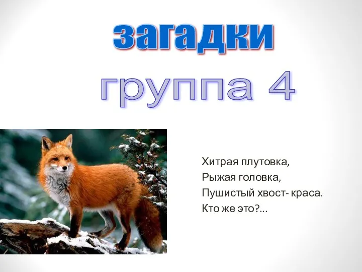 Хитрая плутовка, Рыжая головка, Пушистый хвост- краса. Кто же это?... загадки группа 4