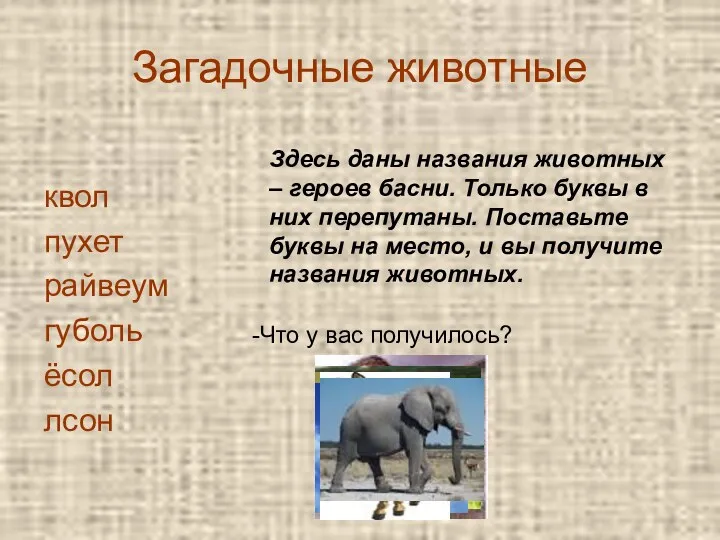 Загадочные животные квол пухет райвеум губоль ёсол лсон Здесь даны