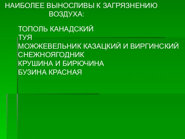 НАИБОЛЕЕ ВЫНОСЛИВЫ К ЗАГРЯЗНЕНИЮ ВОЗДУХА: ТОПОЛЬ КАНАДСКИЙ ТУЯ МОЖЖЕВЕЛЬНИК КАЗАЦКИЙ