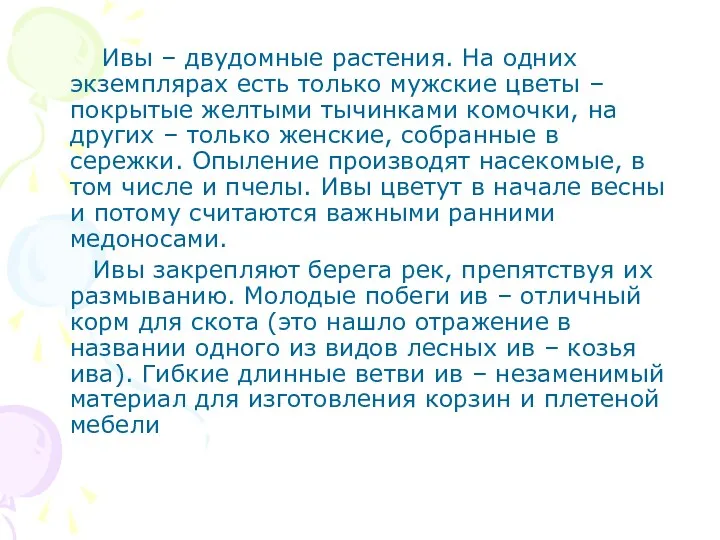 Ивы – двудомные растения. На одних экземплярах есть только мужские