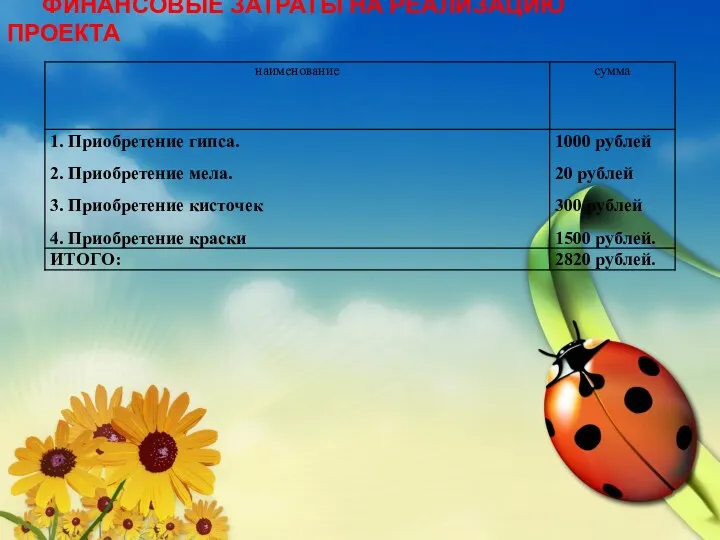 ФИНАНСОВЫЕ ЗАТРАТЫ НА РЕАЛИЗАЦИЮ ПРОЕКТА