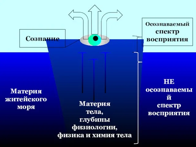 Материя житейского моря Материя тела, глубины физиологии, физика и химия