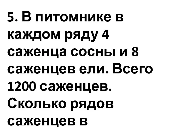 5. В питомнике в каждом ряду 4 саженца сосны и