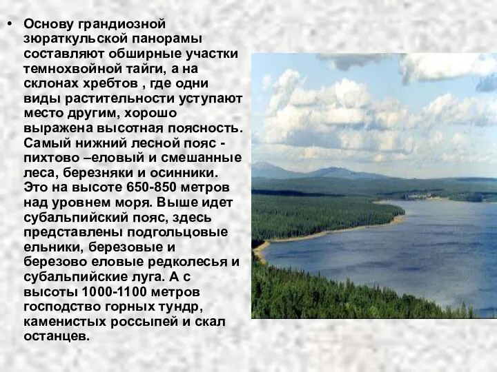 Основу грандиозной зюраткульской панорамы составляют обширные участки темнохвойной тайги, а