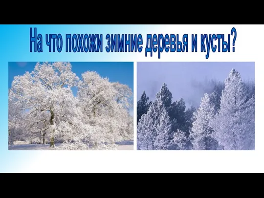 На что похожи зимние деревья и кусты?