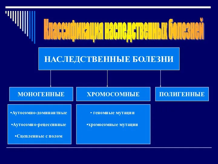 Классификация наследственных болезней МОНОГЕННЫЕ ХРОМОСОМНЫЕ ПОЛИГЕННЫЕ НАСЛЕДСТВЕННЫЕ БОЛЕЗНИ Аутосомно-доминантные Аутосомно-рецессивные