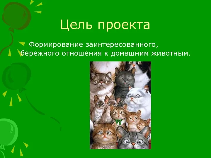 Цель проекта Формирование заинтересованного, бережного отношения к домашним животным.