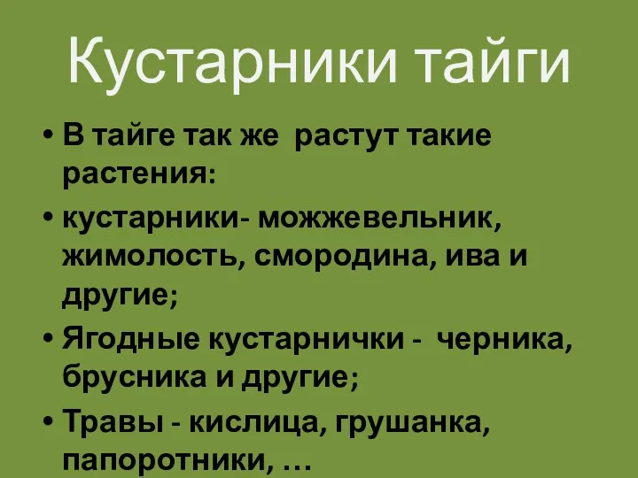 Кустарники тайги В тайге так же растут такие растения: кустарники- можжевельник, жимолость, смородина,