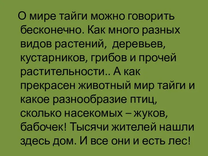 О мире тайги можно говорить бесконечно. Как много разных видов растений, деревьев, кустарников,