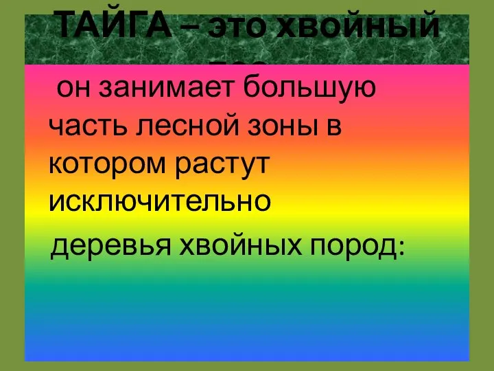 ТАЙГА – это хвойный лес - он занимает большую часть лесной зоны в