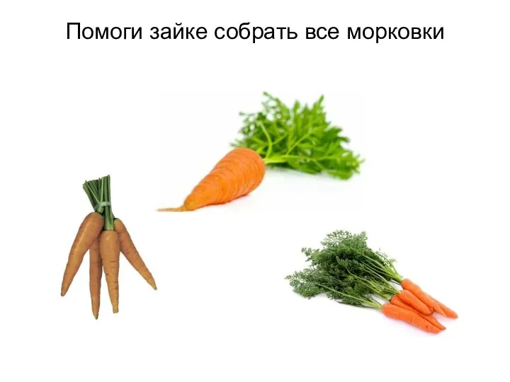 Помоги зайке собрать все морковки
