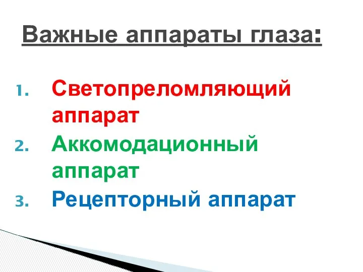 Светопреломляющий аппарат Аккомодационный аппарат Рецепторный аппарат Важные аппараты глаза: