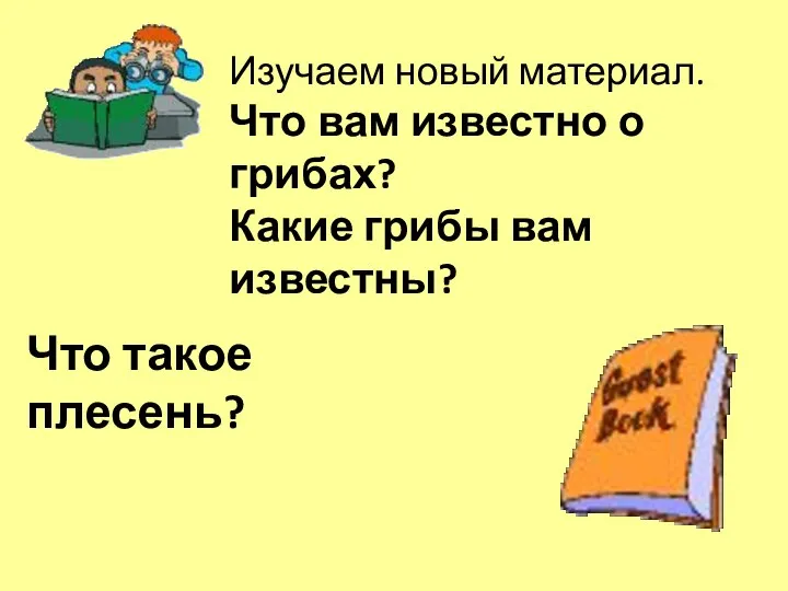 Изучаем новый материал. Что вам известно о грибах? Какие грибы вам известны? Что такое плесень?