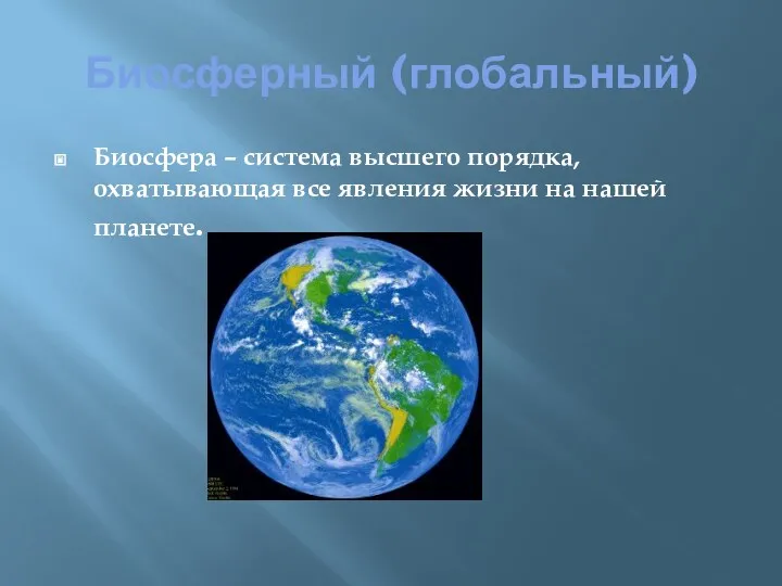 Биосферный (глобальный) Биосфера – система высшего порядка, охватывающая все явления жизни на нашей планете.