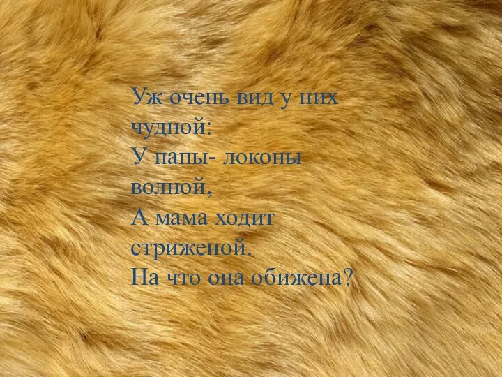 Уж очень вид у них чудной: У папы- локоны волной, А мама ходит