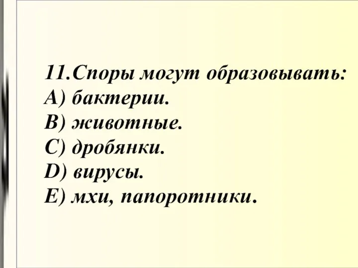 11.Споры могут образовывать: A) бактерии. B) животные. C) дробянки. D) вирусы. E) мхи, папоротники.