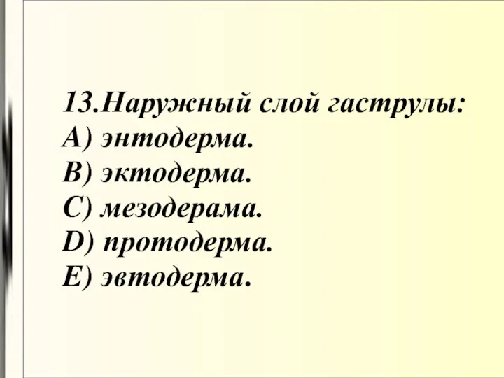 13.Наружный слой гаструлы: A) энтодерма. B) эктодерма. C) мезодерама. D) протодерма. E) эвтодерма.