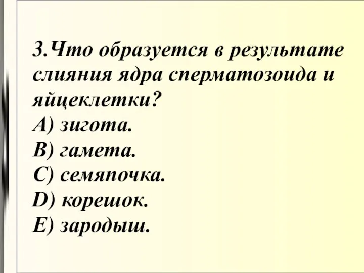 3.Что образуется в результате слияния ядра сперматозоида и яйцеклетки? А)