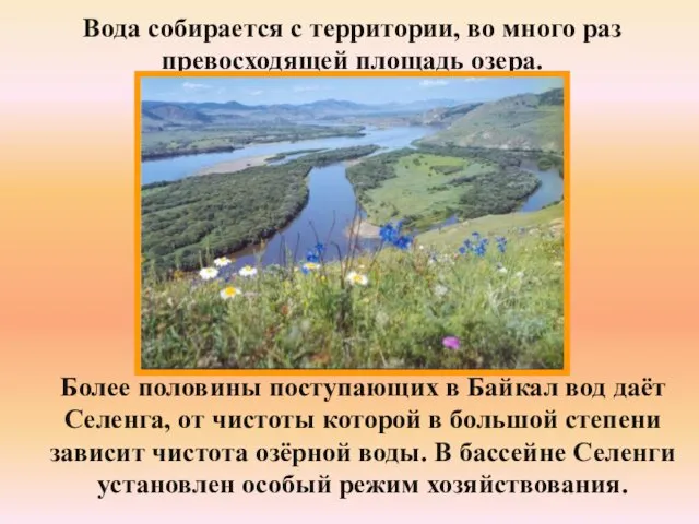 Вода собирается с территории, во много раз превосходящей площадь озера.