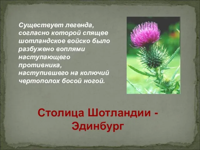 Существует легенда, согласно которой спящее шотландское войско было разбужено воплями