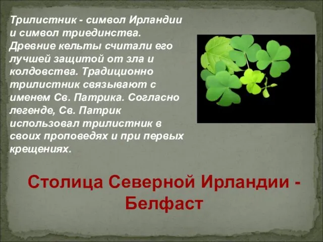 Трилистник - символ Ирландии и символ триединства. Древние кельты считали его лучшей защитой