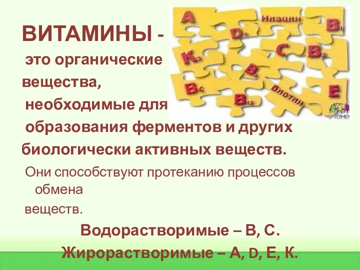 ВИТАМИНЫ - это органические вещества, необходимые для образования ферментов и