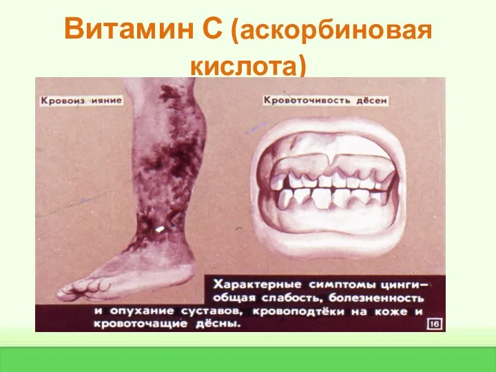 Витамин С (аскорбиновая кислота)