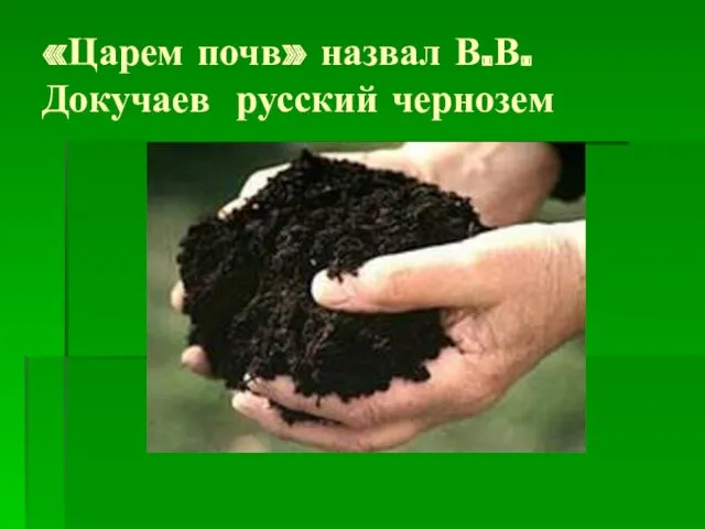 «Царем почв» назвал В.В.Докучаев русский чернозем