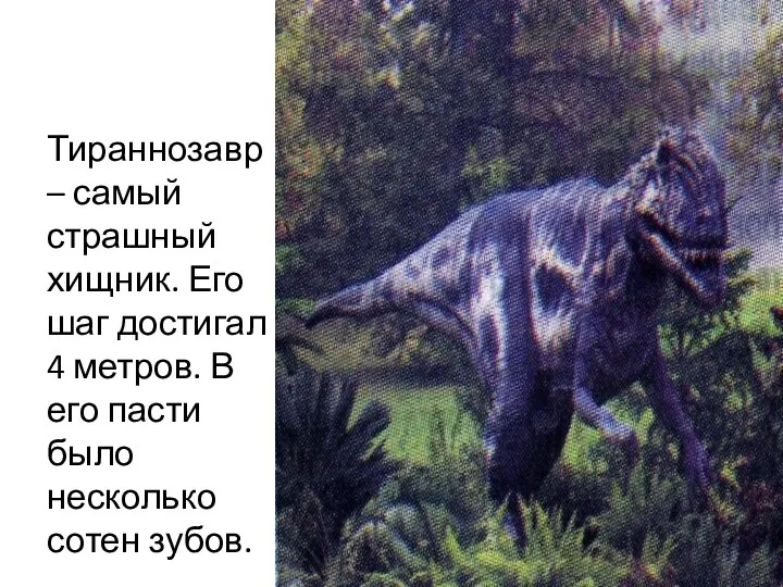 Тираннозавр – самый страшный хищник. Его шаг достигал 4 метров. В его пасти