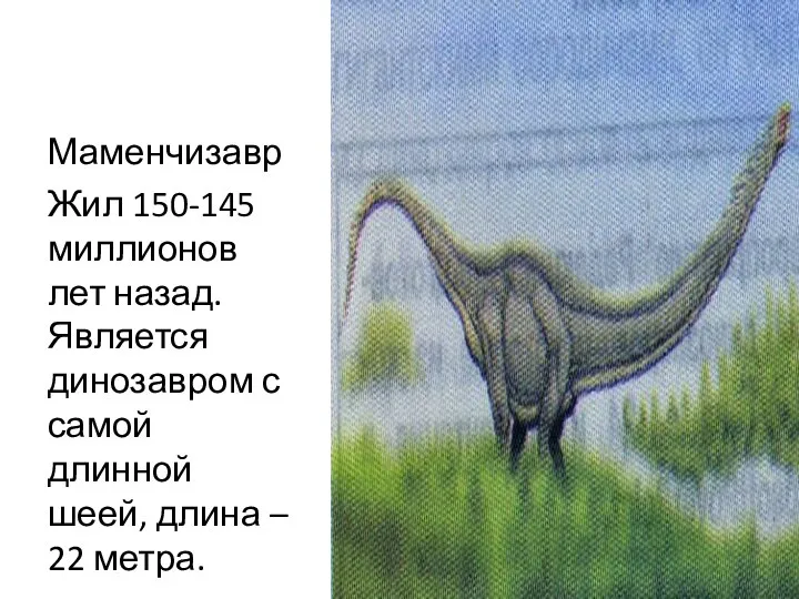 Маменчизавр Жил 150-145 миллионов лет назад. Является динозавром с самой длинной шеей, длина – 22 метра.
