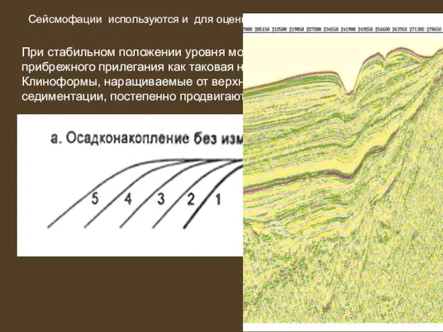 Сейсмофации используются и для оценки колебаний уровня моря При стабильном