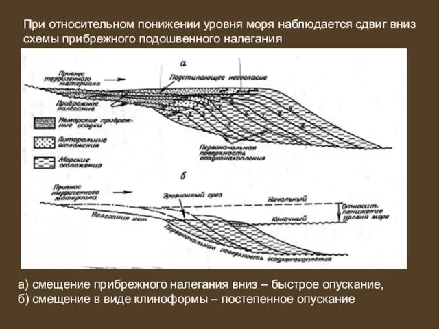 При относительном понижении уровня моря наблюдается сдвиг вниз схемы прибрежного