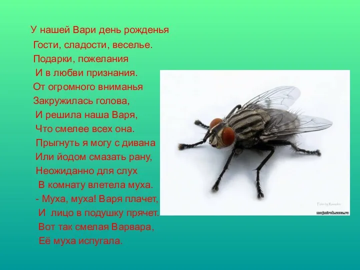 У нашей Вари день рожденья Гости, сладости, веселье. Подарки, пожелания