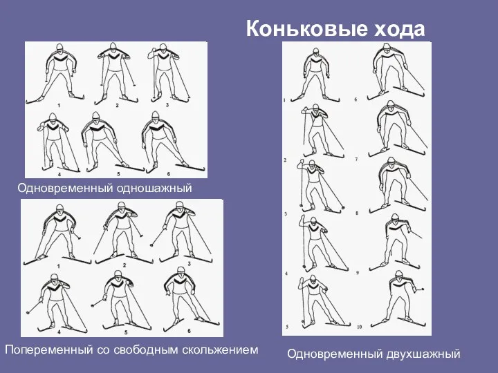 Одновременный одношажный Коньковые хода Попеременный со свободным скольжением Одновременный двухшажный