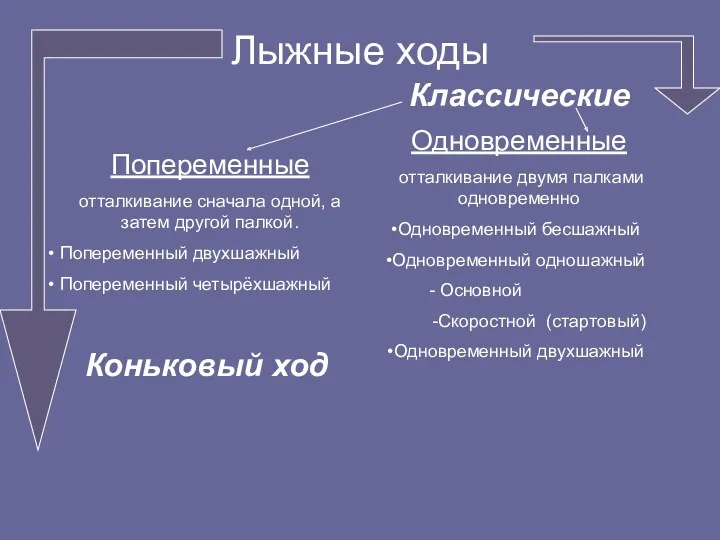 Лыжные ходы Попеременные отталкивание сначала одной, а затем другой палкой.