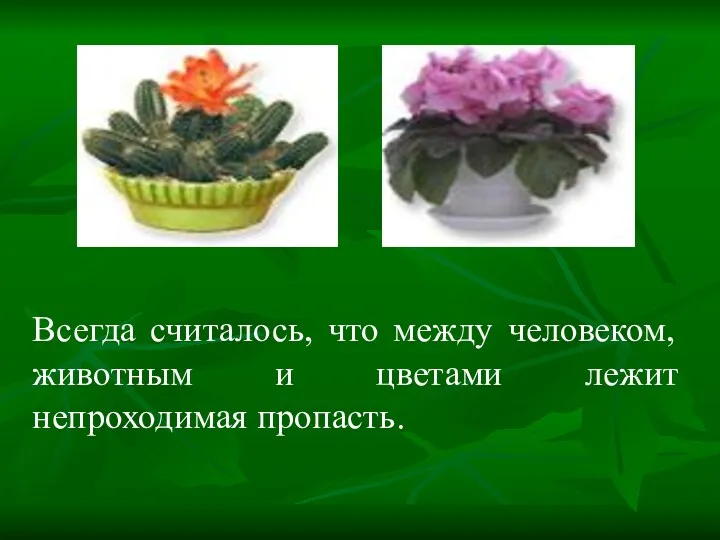 Всегда считалось, что между человеком, животным и цветами лежит непроходимая пропасть.