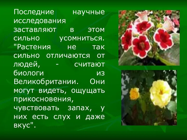 Последние научные исследования заставляют в этом сильно усомниться. "Растения не